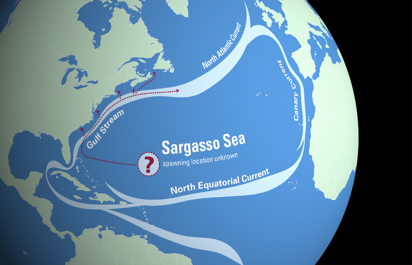 Sargasso Denizi&rsquo;ni çevreleyen akıntılar