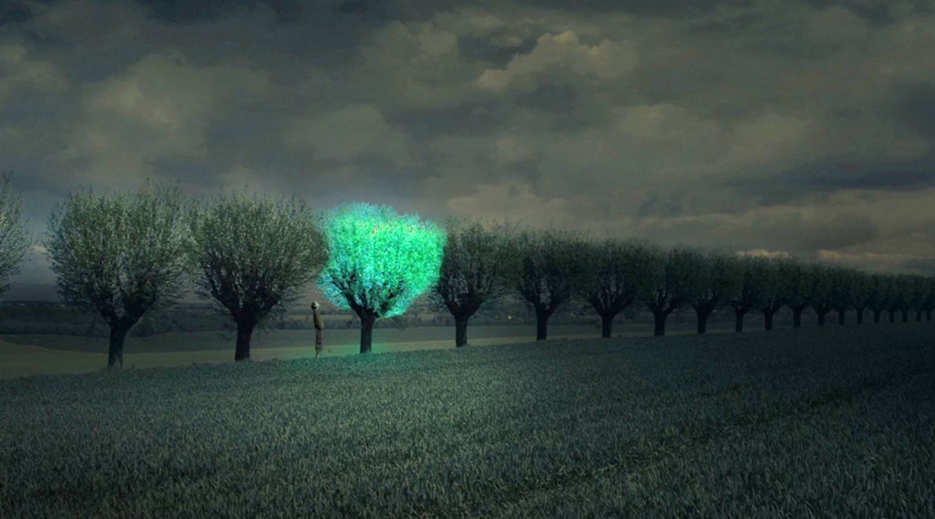 Biyolojik ışık yayan ağaç