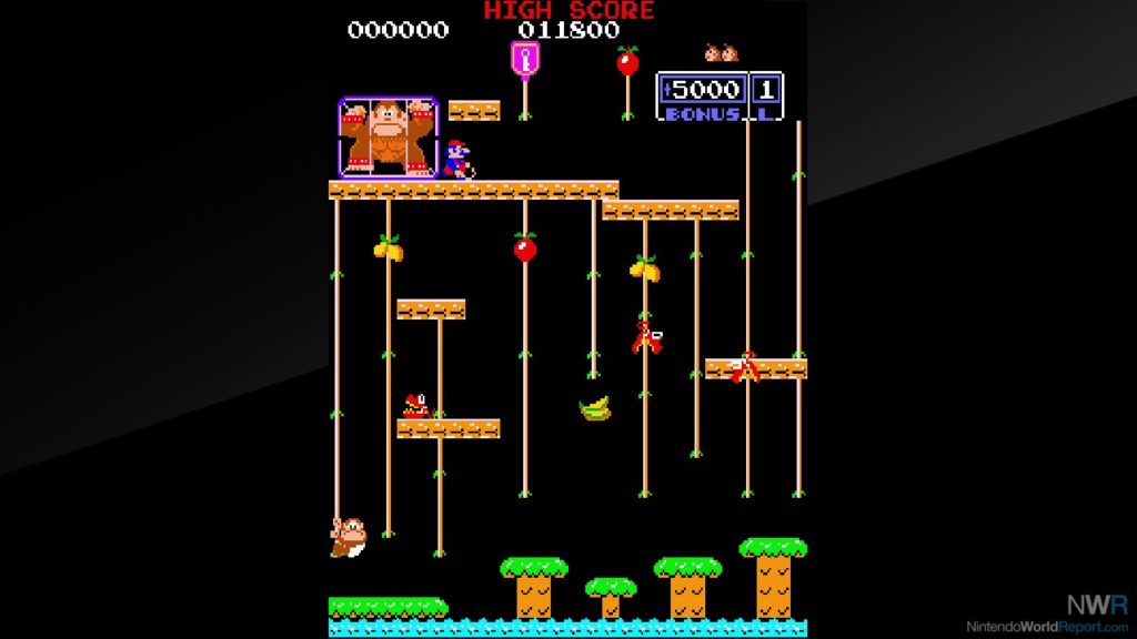 Donkey Kong Jr. oyunundan bir görüntü